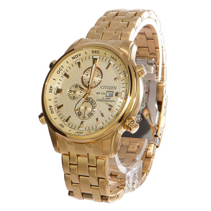 Citizen Watch - Image 4